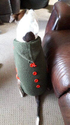 Dog sweater for elf walk