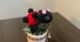 Sweet Ladybug Amigurumi