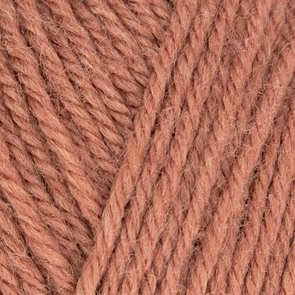 Chrysanthemum (1289)