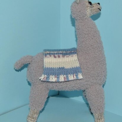 Alois The Alpaca