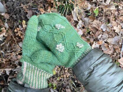 Kodari Orchard Mittens