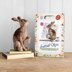 The Crafty Kit Company Wild Scottish Hare Needle Felting Kit - 190 x 290 x 94mm