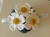 Daisies Tea Cosy