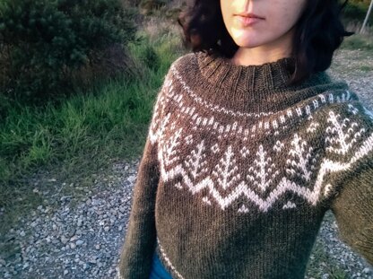 Woodland Hills Sweater