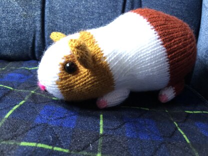 Gordon the Guinea Pig