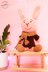 Richard Rabbit Amigurumi