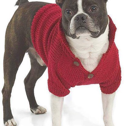 Buster Dog Coat in Berroco Vintage - knitting pattern