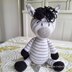Zinnie the Baby Zebra