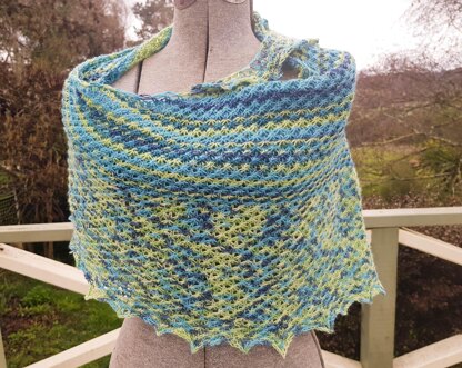 Moody Daisy Shawl