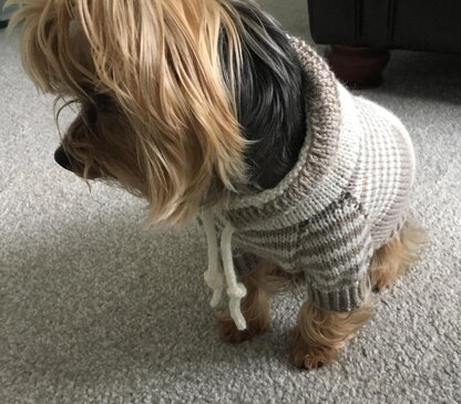 Oatmeal Sweater with Kangaroo Pocket for Dogs