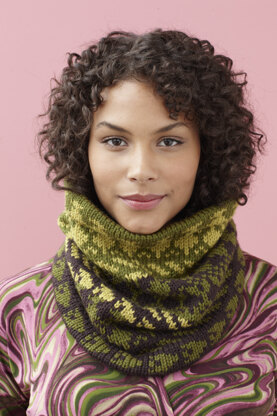 Three Color Cowl in Lion Brand Vanna's Choice - 90635AD