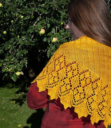 Aurei shawl