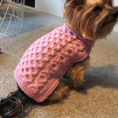 Hugs and Kisses Dog Sweater