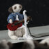 Knitted Meerkats