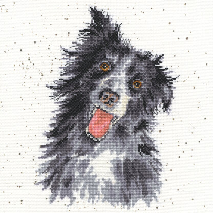 Bothy Threads Collie Cross Stitch Kit - 26cm x 26cm