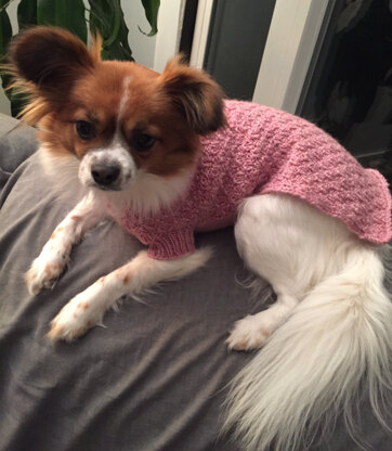 Jasmine's Sweater