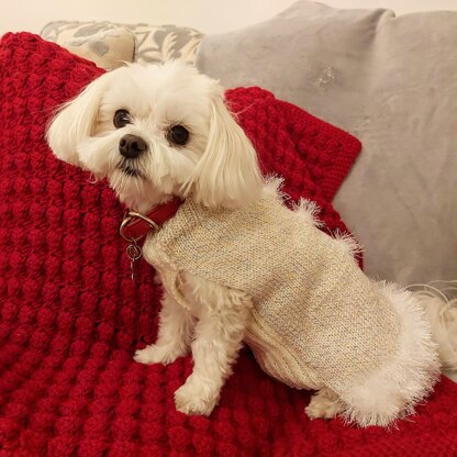 Santa dog coat