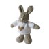 Pip the Bunny