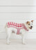 Picnic Pooch - Dog Coat Knitting Pattern For Pets in Debbie Bliss Rialto Aran by Debbie Bliss