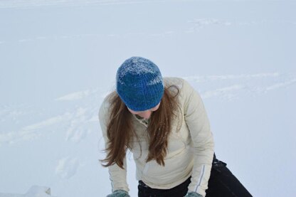 Flightless Fences Hat