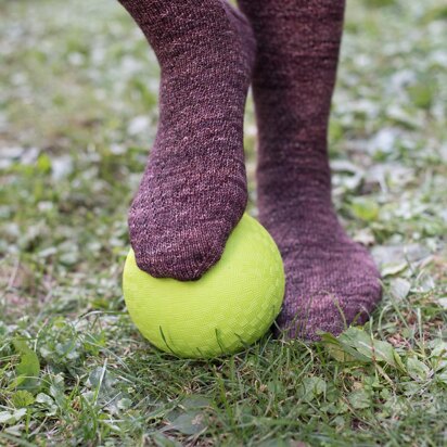 Mr. Tom's Field Socks