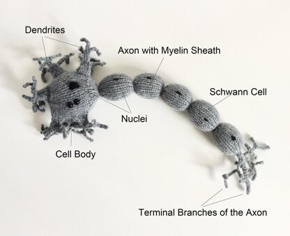 Amigurumi Neuron