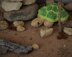 Three Tortoises Turtles Zoo Toy Knitting Pattern Snoo's Knits