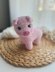Pig Toy
