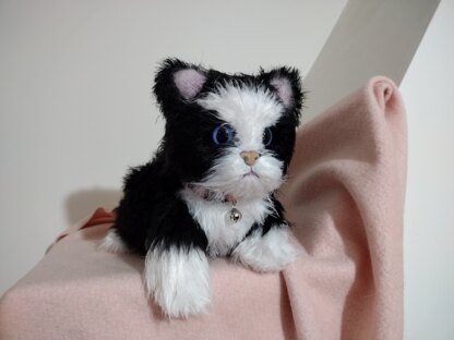 Black and White Kitten