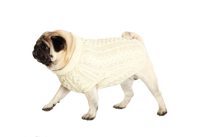 Aran Doggy - Free Dog jumper Knitting Pattern For Dogs in Debbie Bliss Cashmerino Aran by Debbie Bliss