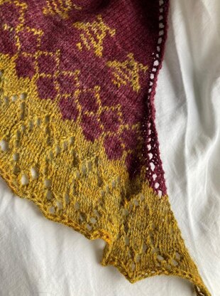 Hive Shawl