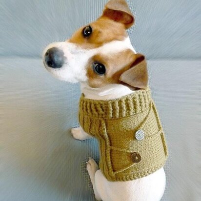 Buttoned Dog Sweater - knitting pattern