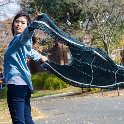 Valley Yarns 779 Limestone Inclusion Shawl