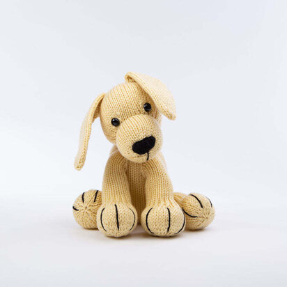 Dexter the Labrador - Toy Dog Knitting Pattern in Deramores Studio DK Acrylic - knitting pattern