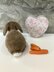 Dwarf lop eared bunny rabbit