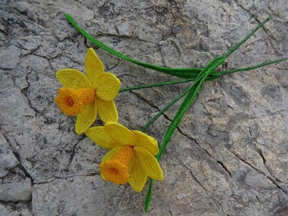 Daffodil long stem