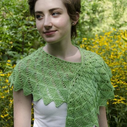 Springtime Shawlette