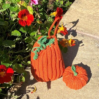Halloween bag and Pumpkin