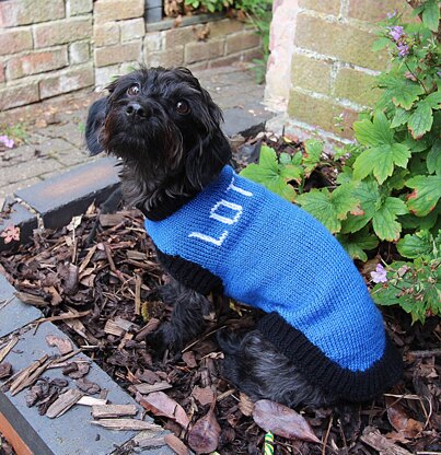 Designer Dog Coat and Cat Coat