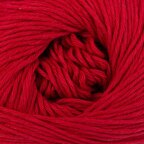 Raspberry (004)