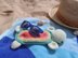 Turtle Sunglasses Case