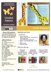 045 Giraffe Bookmark or decor - Amigurumi Zabelina
