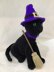 Halloween Black Cat and Broom
