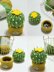 Cute Cactus Pincushion Crochet Pattern