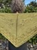 Fronde Shawl