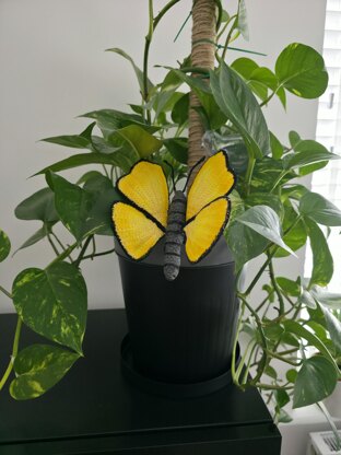 Crochet Butterfly