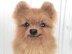 Pomeranian dog crochet