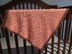 For the Love of You Baby Blanket