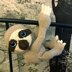 Amigurumi Sloth
