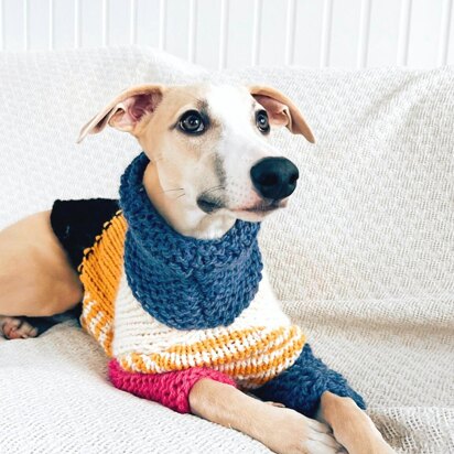 Doggo no 5 sweater - knitting pattern